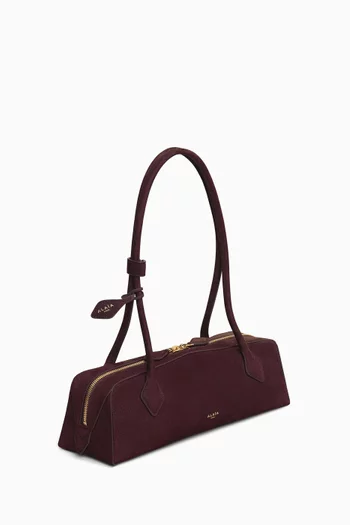 Medium Le Teckel Bag in Nubuck Leather