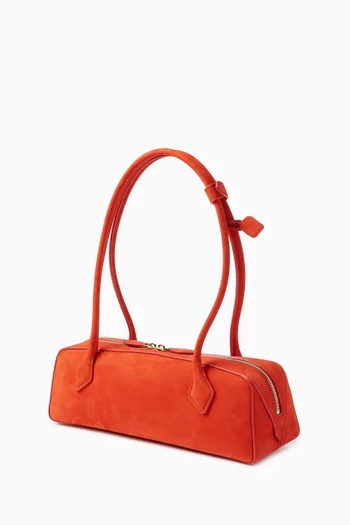 Medium Le Teckel Bag in Nubuck Leather