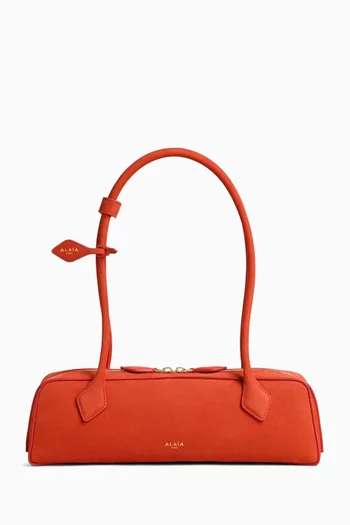 Medium Le Teckel Bag in Nubuck Leather