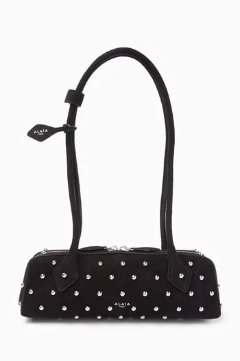 Small Le Teckel Shoulder Bag in Suede Leather