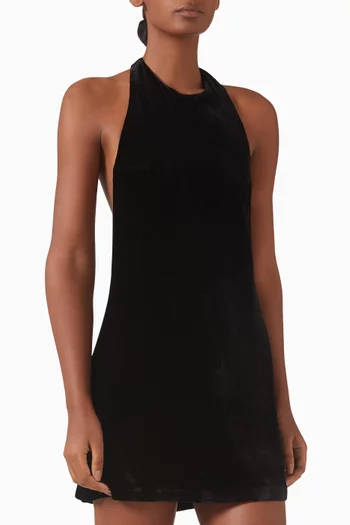 Avielle Mini Dress in Velvet
