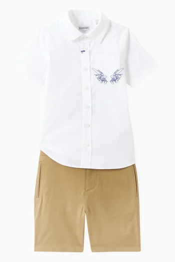 Owen Shirt in Cotton