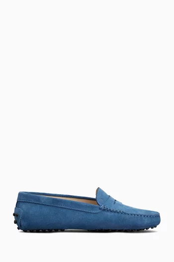 Gommino Driving Shoes in Suede