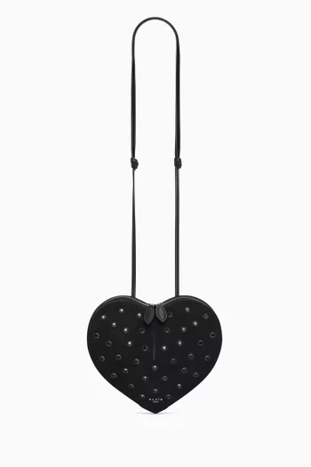 Le Coeur Crystal Crossbody Bag in Suede