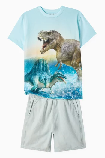 Roxo Dino Splash T-shirt in Organic Cotton