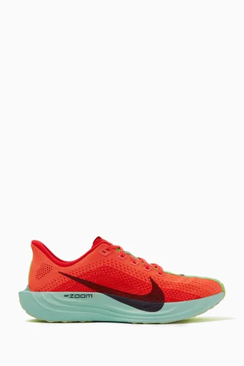 Pegasus Plus Sneakers in Flyknit