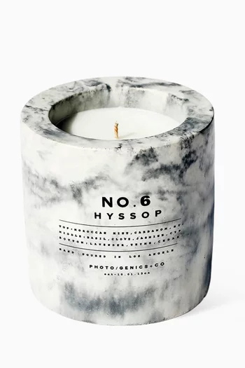 No.6 Hyssop Concrete Candle, 225g
