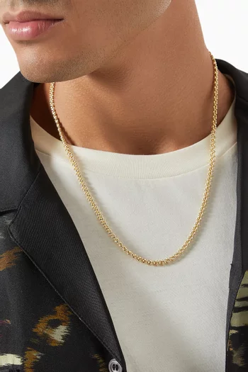 Areole Chain Necklace in 14kt Gold-plated Sterling Silver