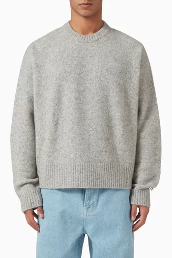 Crewneck Sweater in Mohair-blend Knit