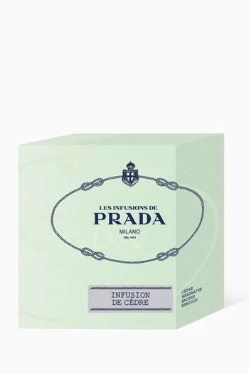 Infusion de Cèdre Candle, 165g