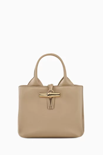XS Le Roseau Tote Bag in Calfskin Leather