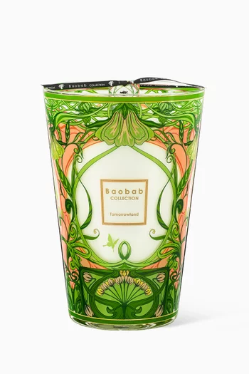 Max 35 Tomorrowland 2024 Candle, 6500g