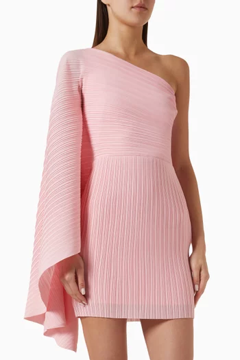 The Layne Mini Dress