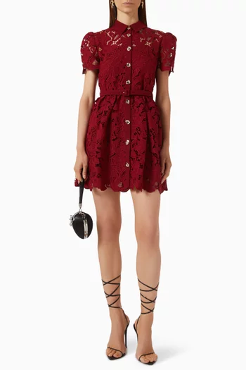 Belted Mini Dress in Lace
