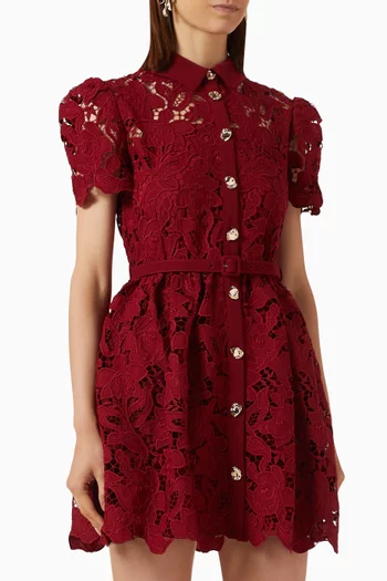 Belted Mini Dress in Lace