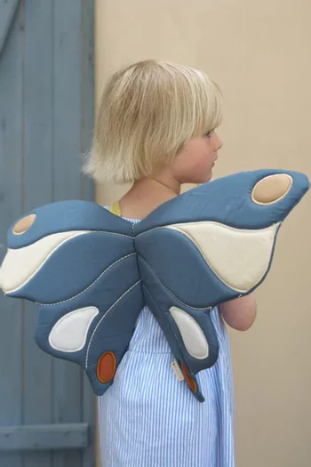 Dress Up Butterfly Wings