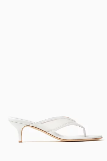 Koko 45 Thong Mules in Mesh & Leather
