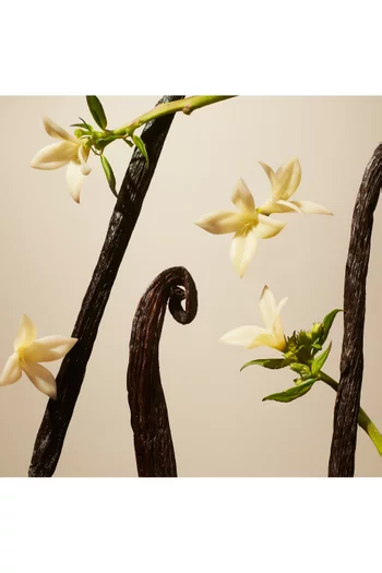 Suede Vanilla Refill Fragrance Sticks, 900ml