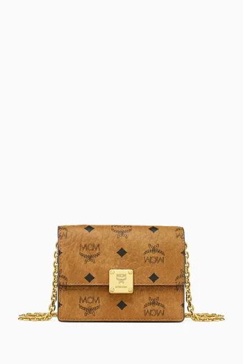 Mini Aren Chain Wallet in Visetos Canvas