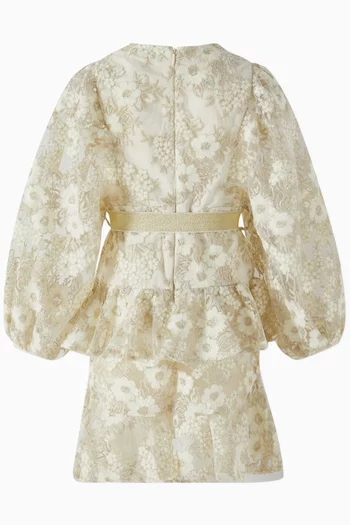 Dorothy Embroidered Mini Dress