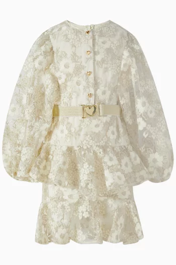 Dorothy Embroidered Mini Dress