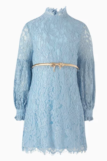 Dolly Embroidered Mini Dress