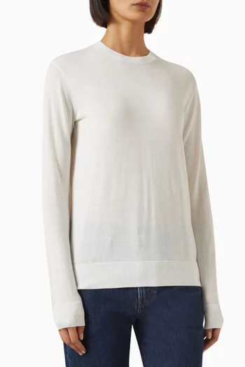 Crewneck Knit Sweater in Wool Blend