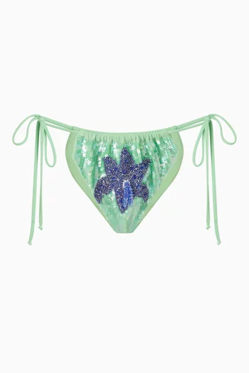 Maria Bikini Briefs