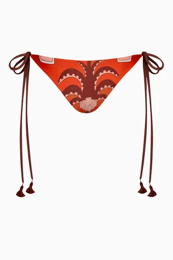 Sagrado Reversible Bikini Briefs in Lycra