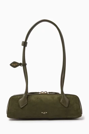 Small Le Teckel Shoulder Bag in Suede