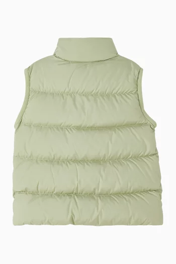 Prudence Down Puffer Vest
