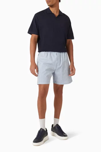 Stan Stripe Swim Shorts in Seersucker