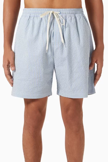Stan Stripe Swim Shorts in Seersucker