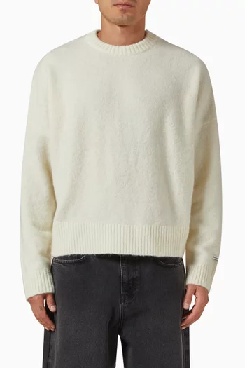 Crewneck Sweater in Mohair Knit