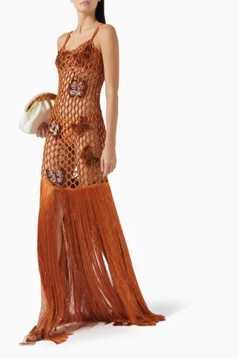 Embroidered Fringe Maxi Dress in Mesh