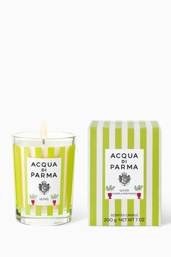 Ulivo Candle, 200g