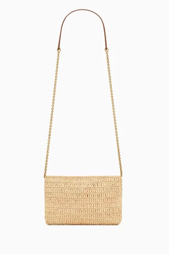 Cassandre Chain Pouch in Raffia
