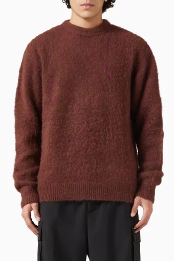 Crewneck Sweater in Knit