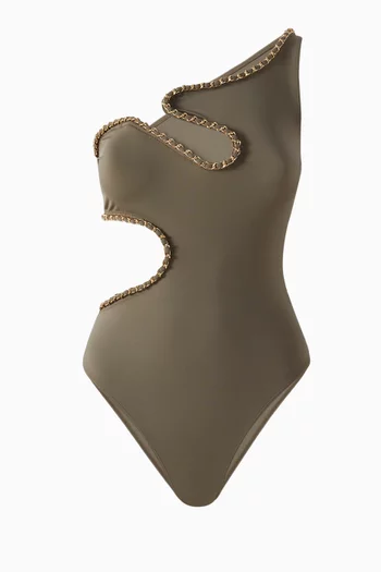 Snake River One-piece Swimsuit