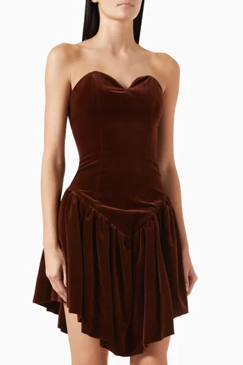 Jardin D'Eden Mini Dress in Velvet