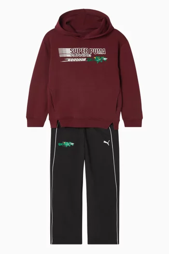 Super Puma Relaxed Hoodie in Cotton-terry