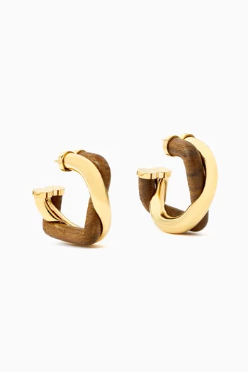 The Doppio Earrings in Brass