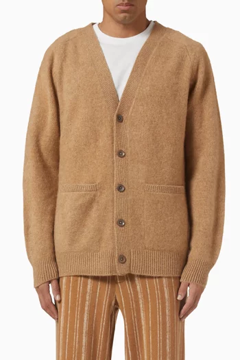 Heavy Cardigan in Cashmere
