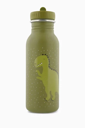 Mr. Dino Water Bottle, 500ml