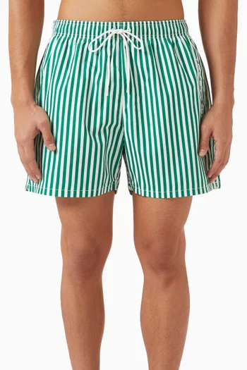 Printed Medium Swim Shorts