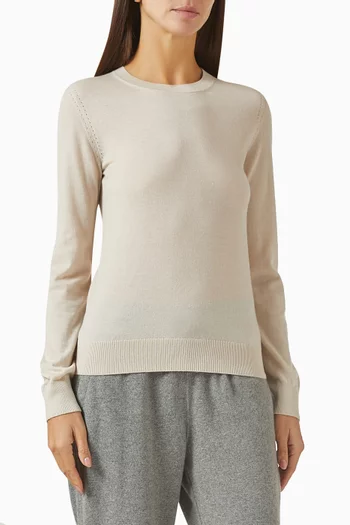 Neo Piuma Crewneck Sweatshirt in Cashmere