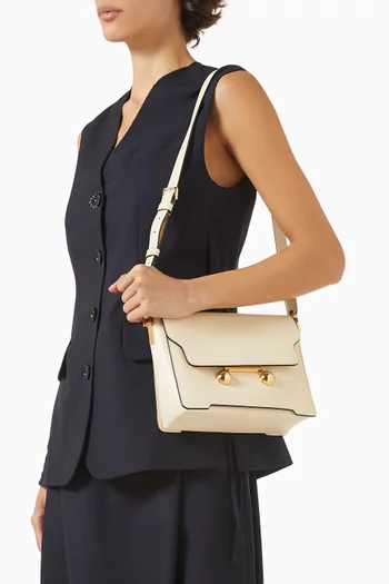 Medium Trunkaroo Shoulder Bag in Calfskin Leather