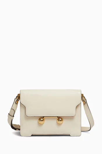 Medium Trunkaroo Shoulder Bag in Calfskin Leather