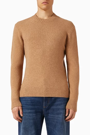 Round-neck Sweater in Knit
