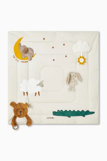 بطانية أنشطة بيرنيت